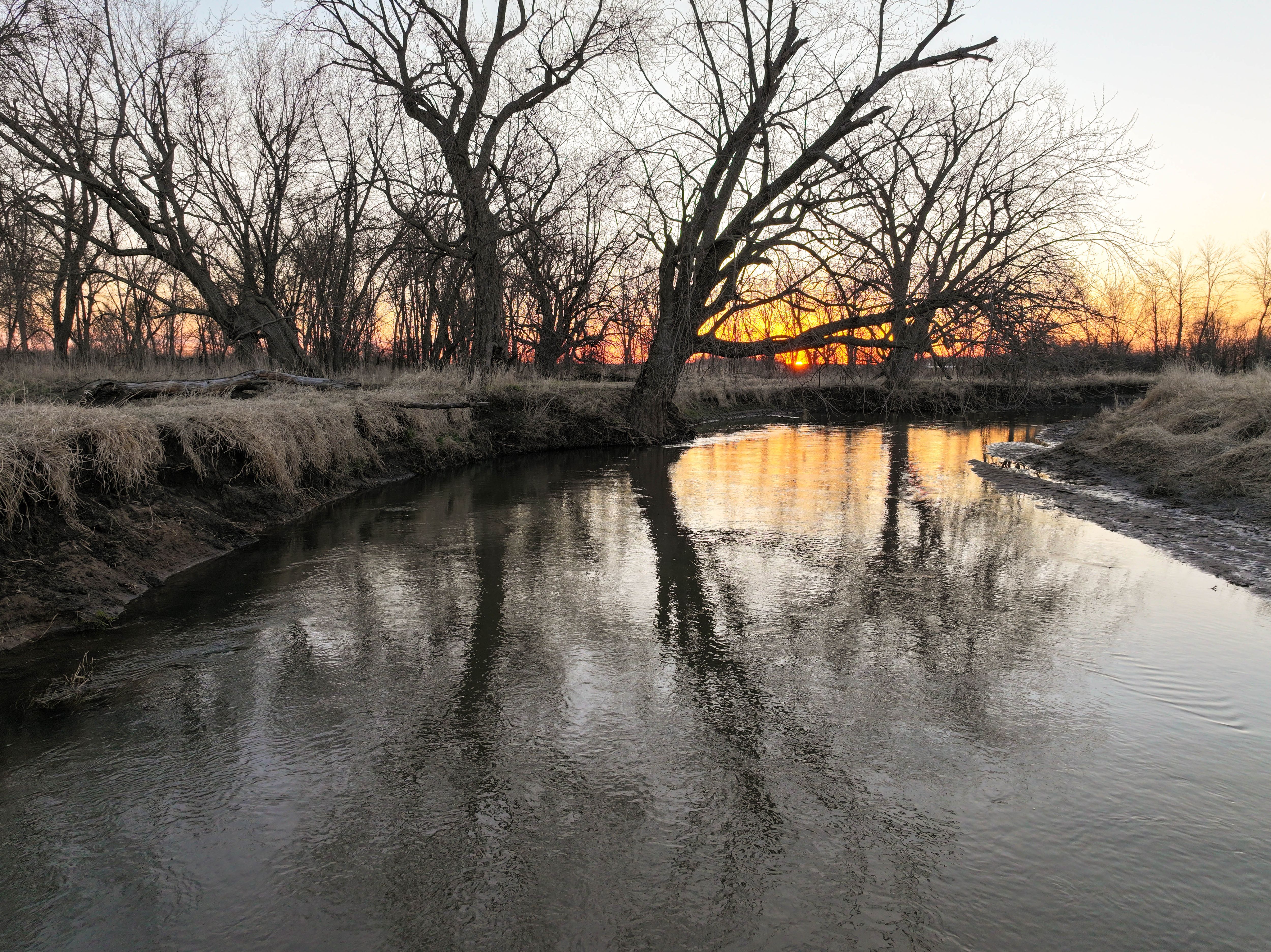 Listing Photo: 8_Charles City Farm